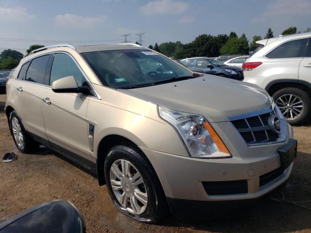 Photo 3 VIN: 3GYFNAEY0AS522390 - CADILLAC SRX LUXURY 