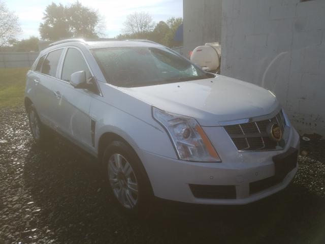 Photo 0 VIN: 3GYFNAEY0AS550240 - CADILLAC SRX LUXURY 