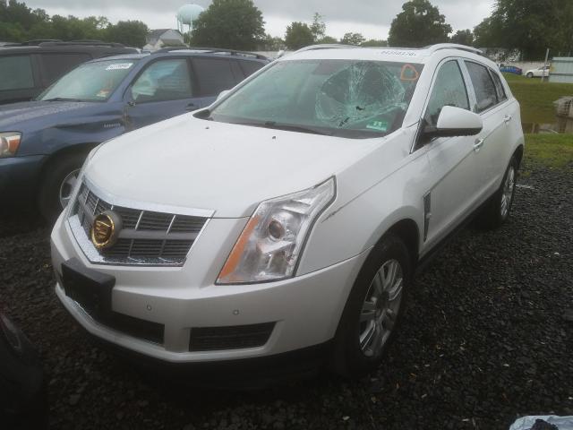 Photo 1 VIN: 3GYFNAEY0AS550240 - CADILLAC SRX LUXURY 