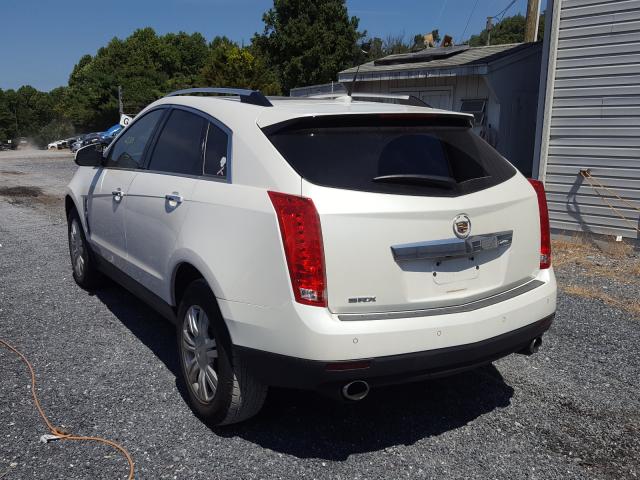 Photo 2 VIN: 3GYFNAEY0AS560234 - CADILLAC SRX LUXURY 