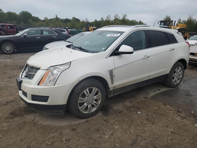 Photo 0 VIN: 3GYFNAEY0AS560234 - CADILLAC SRX LUXURY 