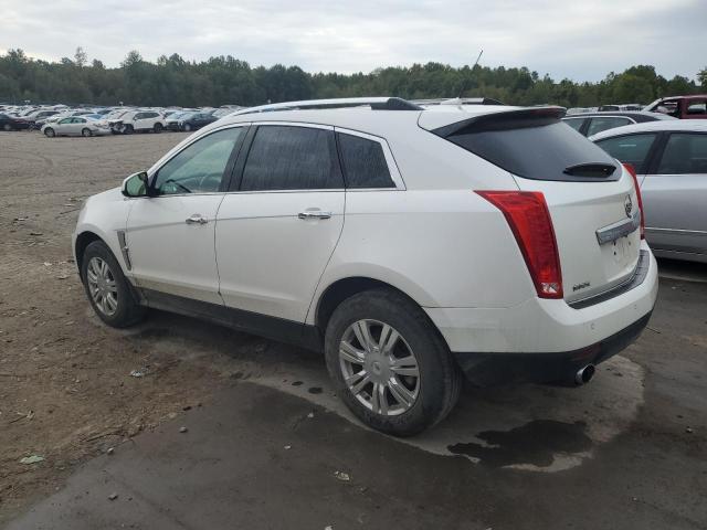 Photo 1 VIN: 3GYFNAEY0AS560234 - CADILLAC SRX LUXURY 