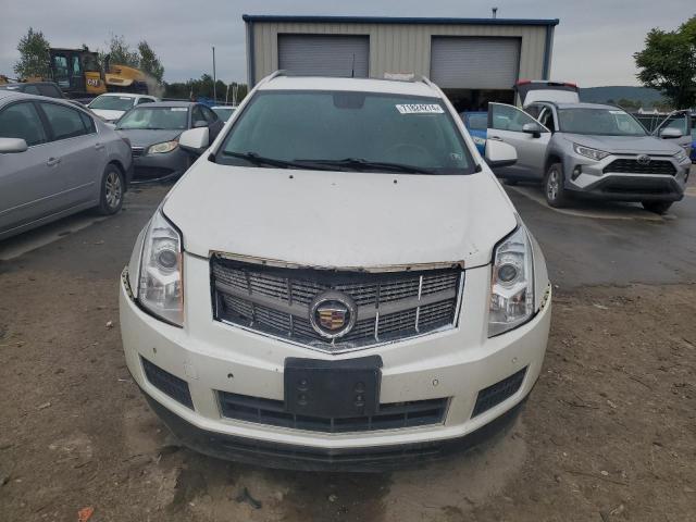 Photo 4 VIN: 3GYFNAEY0AS560234 - CADILLAC SRX LUXURY 