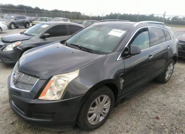 Photo 1 VIN: 3GYFNAEY0AS582475 - CADILLAC SRX 