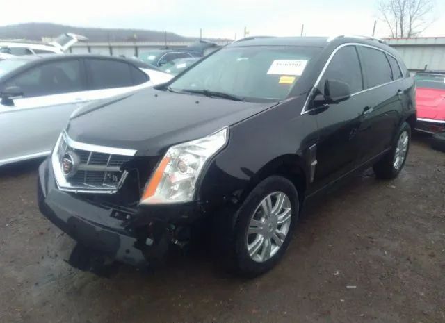 Photo 1 VIN: 3GYFNAEY0AS641900 - CADILLAC SRX 