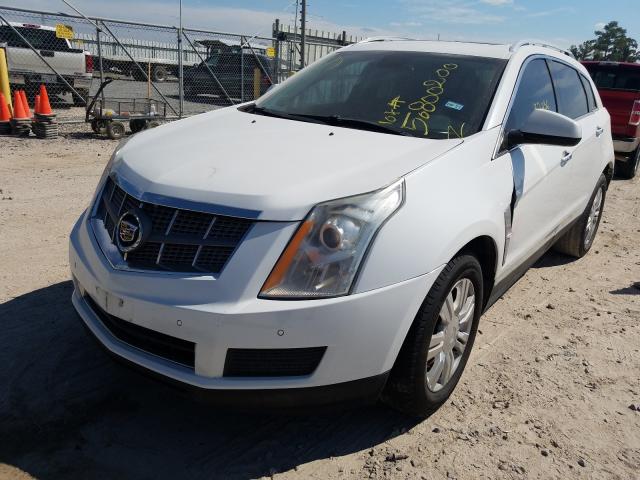 Photo 1 VIN: 3GYFNAEY1AS596448 - CADILLAC SRX LUXURY 