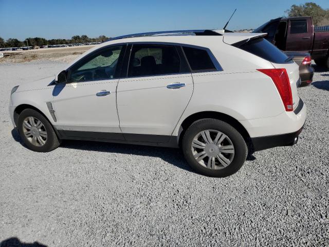 Photo 1 VIN: 3GYFNAEY1AS619419 - CADILLAC SRX LUXURY 