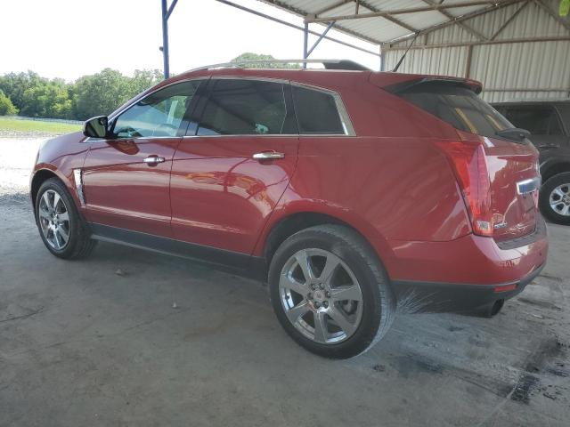 Photo 1 VIN: 3GYFNAEY1BS517152 - CADILLAC SRX 