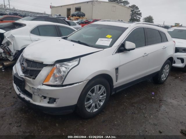 Photo 1 VIN: 3GYFNAEY1BS539748 - CADILLAC SRX 