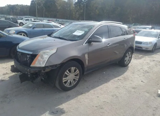 Photo 1 VIN: 3GYFNAEY1BS550121 - CADILLAC SRX 