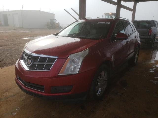 Photo 1 VIN: 3GYFNAEY1BS562057 - CADILLAC SRX LUXURY 