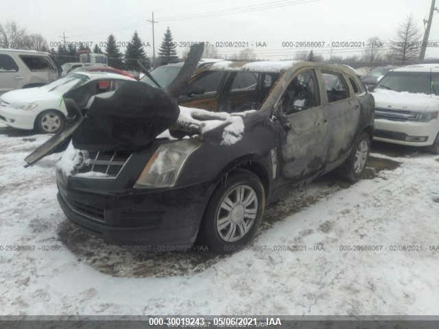 Photo 1 VIN: 3GYFNAEY1BS583605 - CADILLAC SRX 