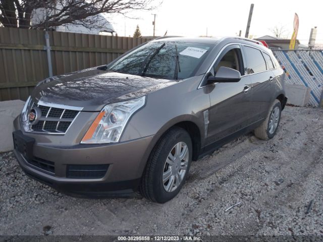 Photo 1 VIN: 3GYFNAEY1BS653233 - CADILLAC SRX 