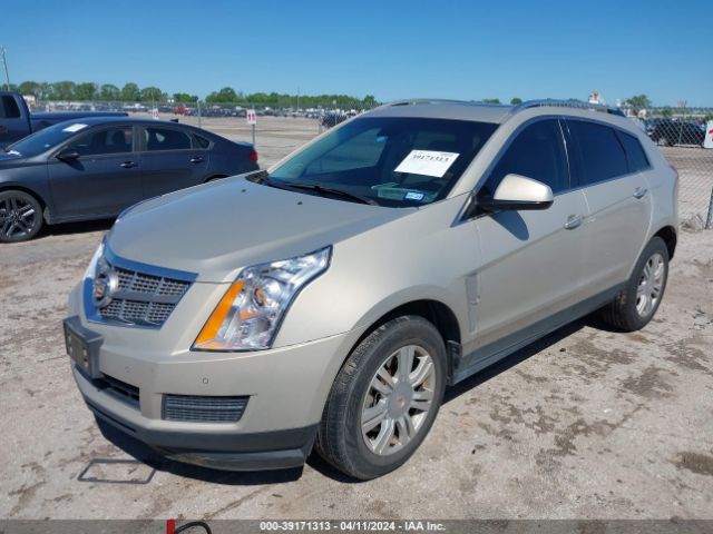 Photo 1 VIN: 3GYFNAEY1BS659243 - CADILLAC SRX 