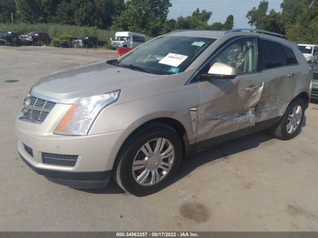 Photo 1 VIN: 3GYFNAEY1BS679363 - CADILLAC SRX 