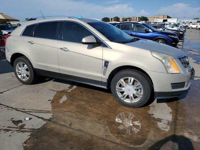 Photo 3 VIN: 3GYFNAEY2AS523024 - CADILLAC SRX LUXURY 