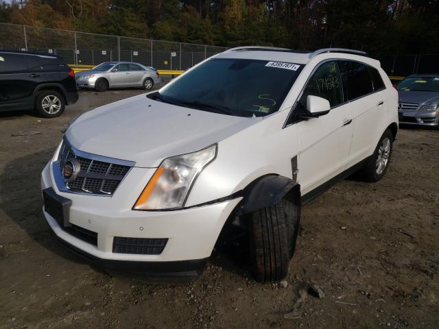 Photo 1 VIN: 3GYFNAEY2AS619431 - CADILLAC SRX LUXURY 