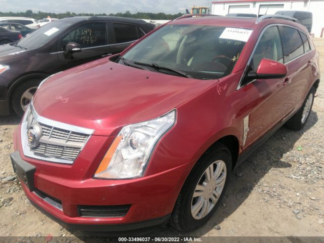 Photo 1 VIN: 3GYFNAEY3AS594619 - CADILLAC SRX 