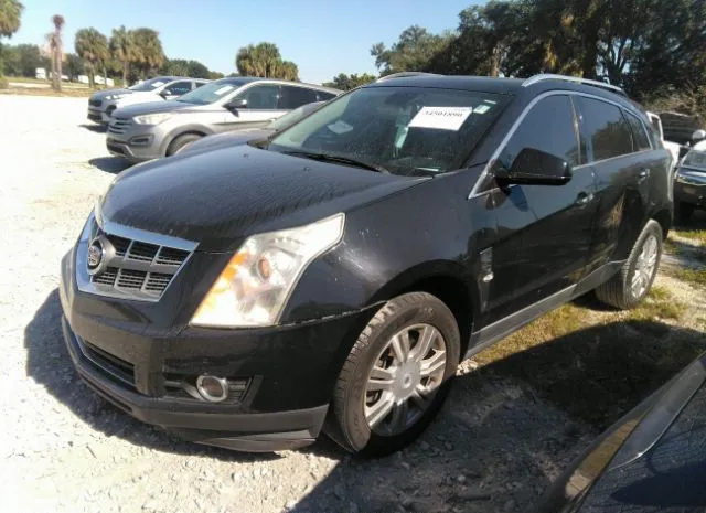 Photo 1 VIN: 3GYFNAEY3AS599089 - CADILLAC SRX 