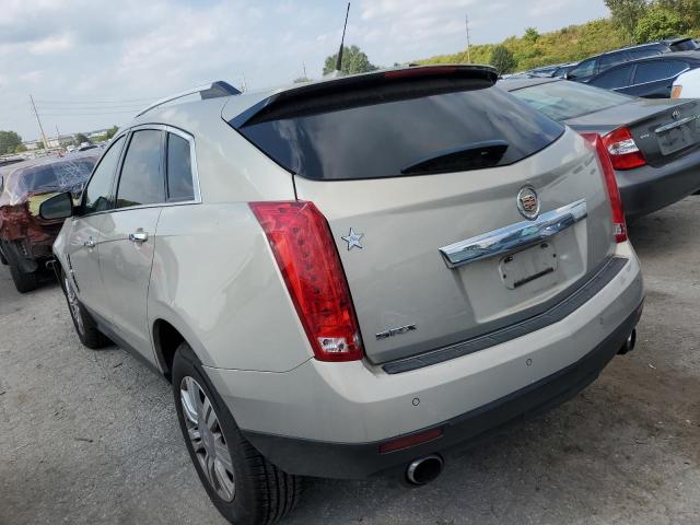 Photo 1 VIN: 3GYFNAEY3AS606588 - CADILLAC SRX 