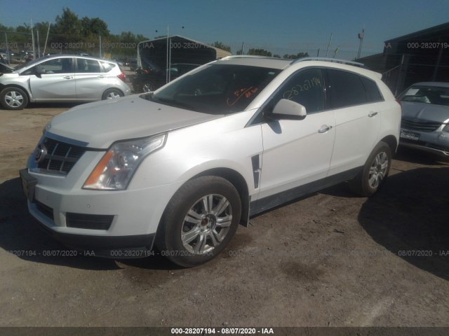 Photo 1 VIN: 3GYFNAEY3BS528427 - CADILLAC SRX 