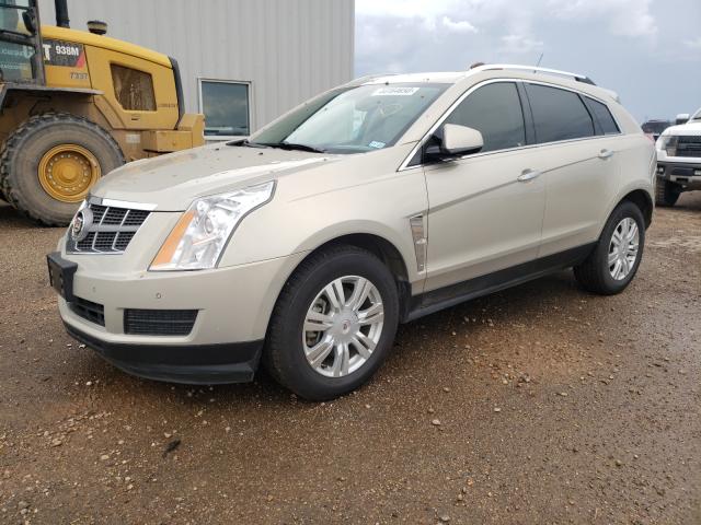 Photo 1 VIN: 3GYFNAEY3BS567034 - CADILLAC SRX LUXURY 