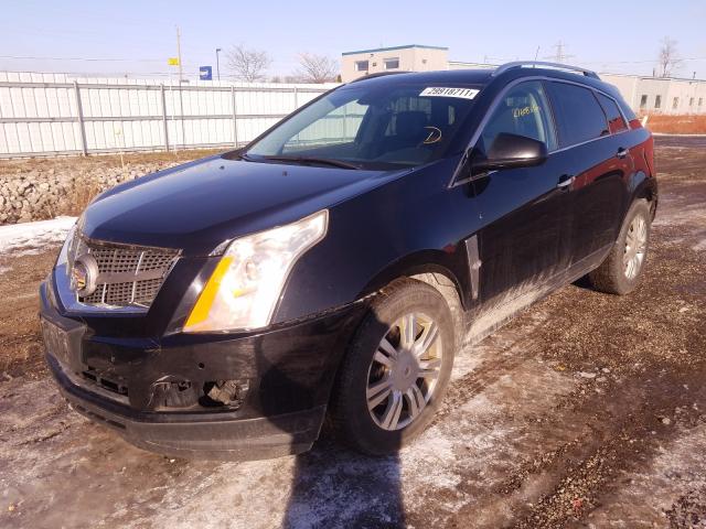 Photo 1 VIN: 3GYFNAEY4AS508346 - CADILLAC SRX LUXURY 