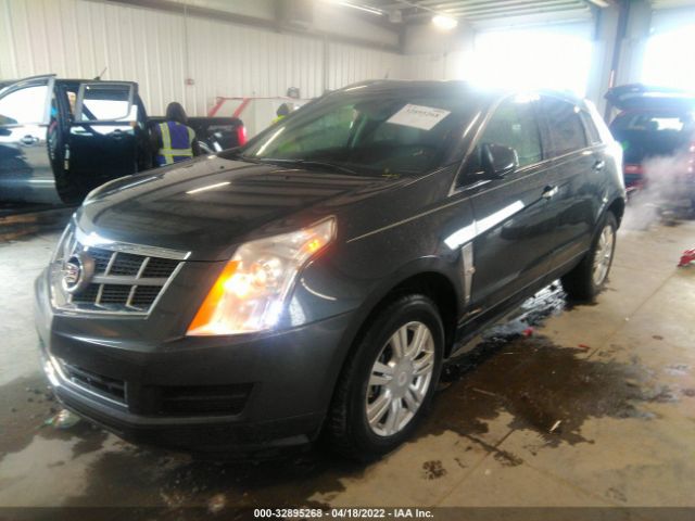 Photo 1 VIN: 3GYFNAEY4AS536793 - CADILLAC SRX 