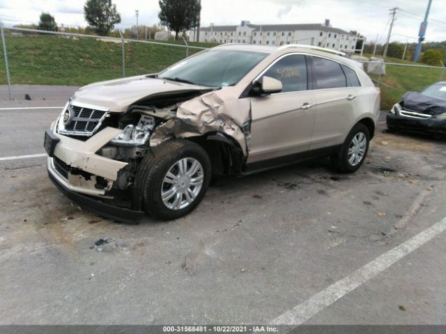 Photo 1 VIN: 3GYFNAEY4AS542948 - CADILLAC SRX 