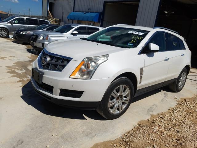 Photo 1 VIN: 3GYFNAEY4AS561323 - CADILLAC SRX LUXURY 