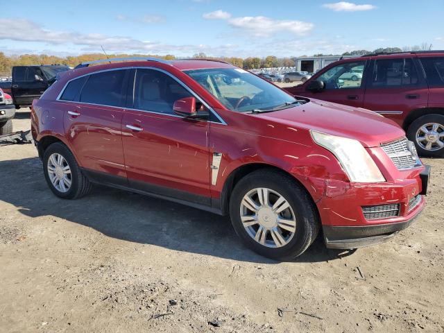 Photo 3 VIN: 3GYFNAEY4AS611234 - CADILLAC SRX 