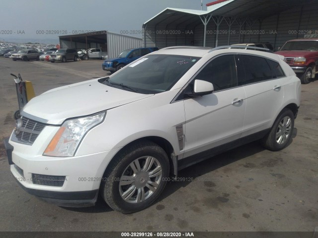 Photo 1 VIN: 3GYFNAEY4BS514567 - CADILLAC SRX 