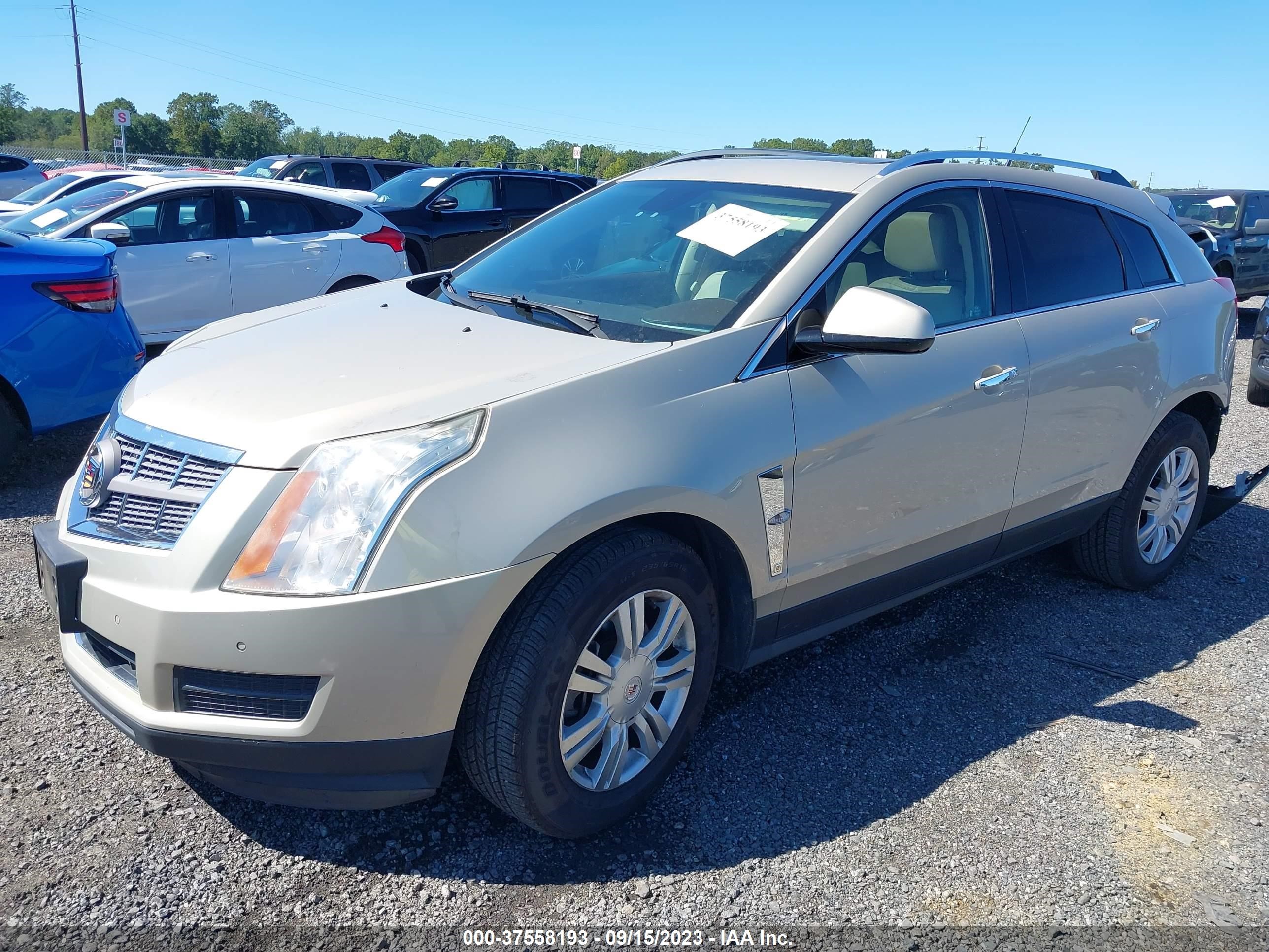 Photo 1 VIN: 3GYFNAEY4BS515394 - CADILLAC SRX 