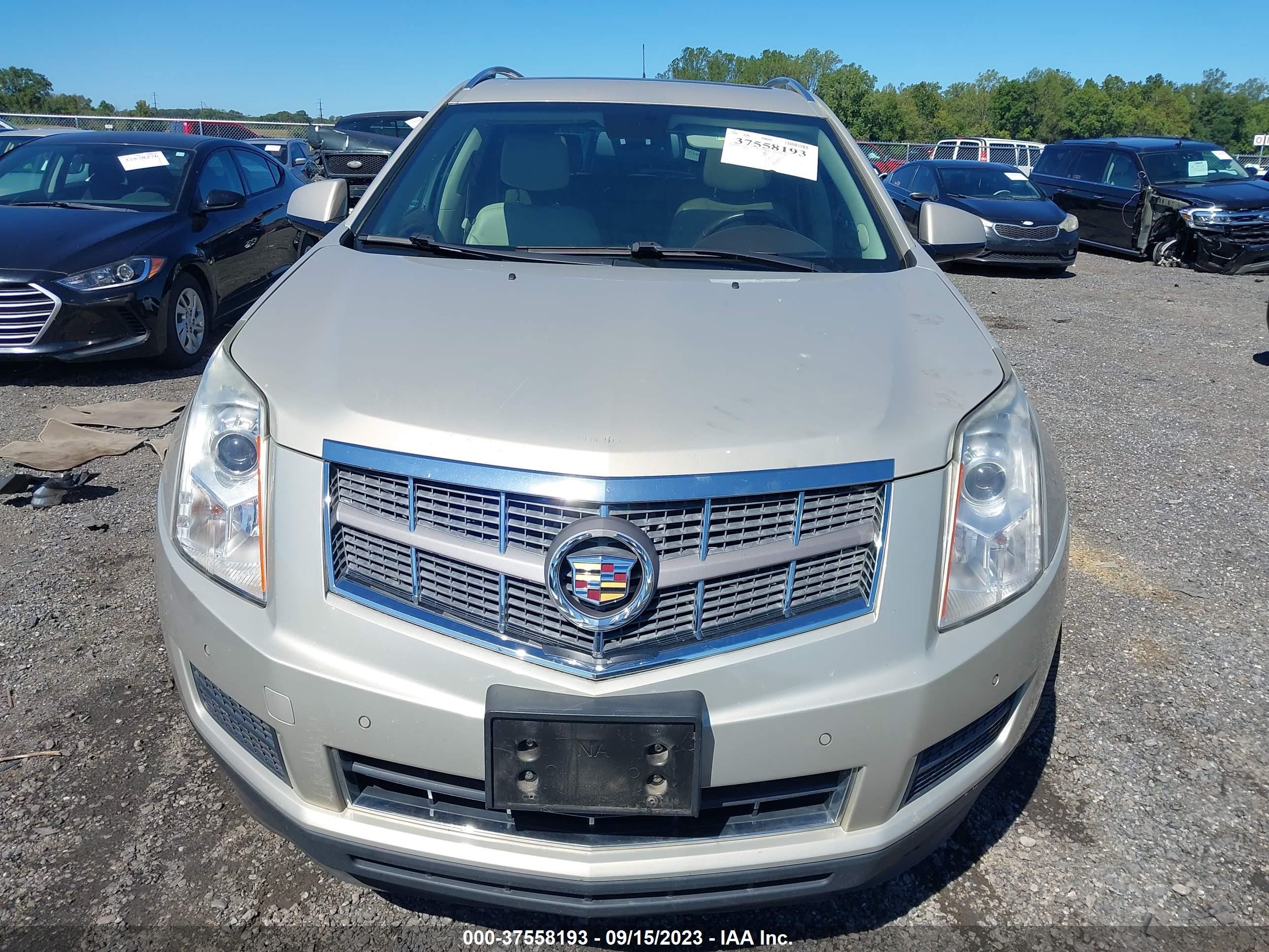 Photo 11 VIN: 3GYFNAEY4BS515394 - CADILLAC SRX 