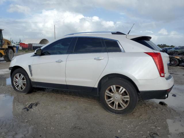 Photo 1 VIN: 3GYFNAEY4BS528842 - CADILLAC SRX LUXURY 