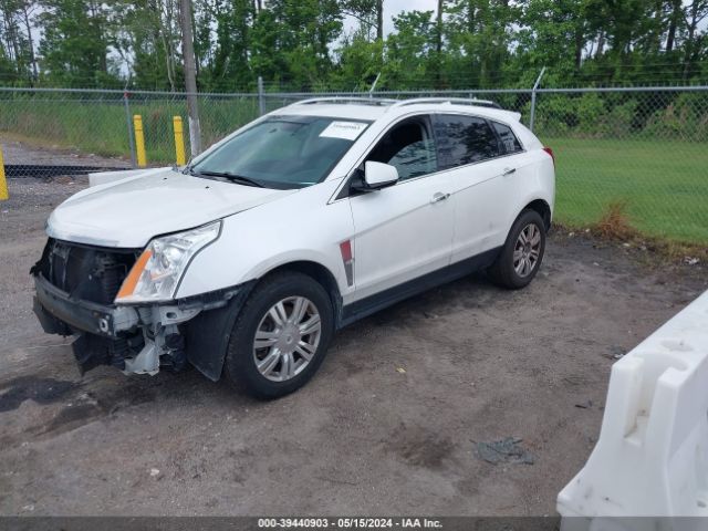 Photo 1 VIN: 3GYFNAEY4BS536469 - CADILLAC SRX 