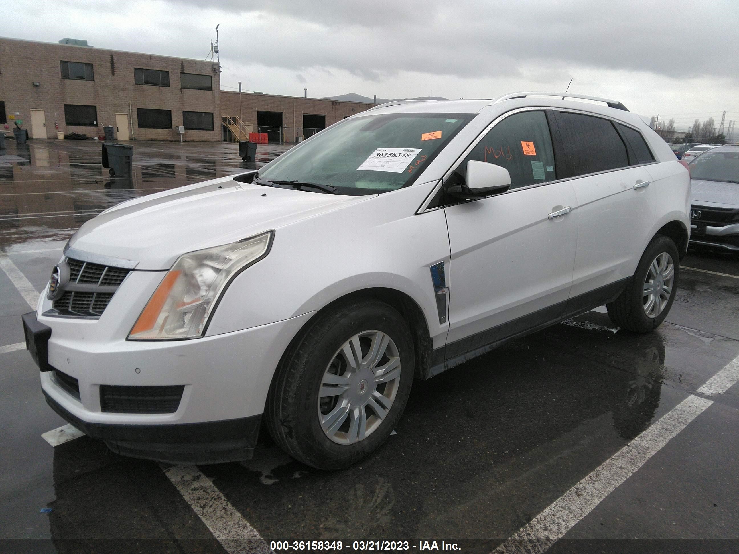 Photo 1 VIN: 3GYFNAEY4BS553935 - CADILLAC SRX 