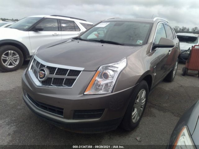 Photo 1 VIN: 3GYFNAEY4BS558102 - CADILLAC SRX 