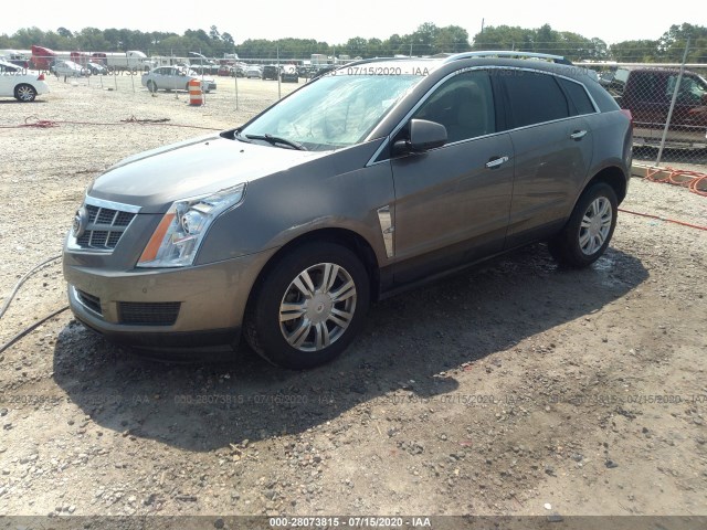 Photo 1 VIN: 3GYFNAEY4BS572873 - CADILLAC SRX 