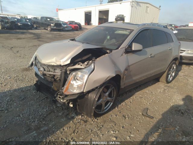 Photo 1 VIN: 3GYFNAEY5AS625790 - CADILLAC SRX 