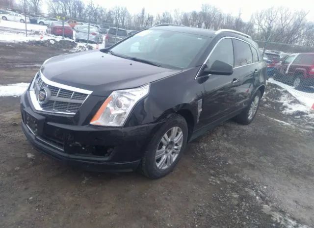 Photo 1 VIN: 3GYFNAEY5AS631993 - CADILLAC SRX 