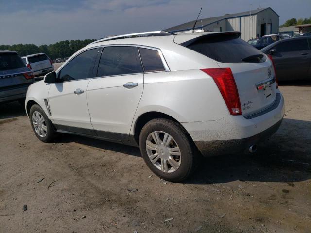 Photo 1 VIN: 3GYFNAEY5AS645487 - CADILLAC SRX LUXURY 