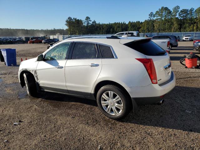 Photo 1 VIN: 3GYFNAEY5AS652388 - CADILLAC SRX LUXURY 