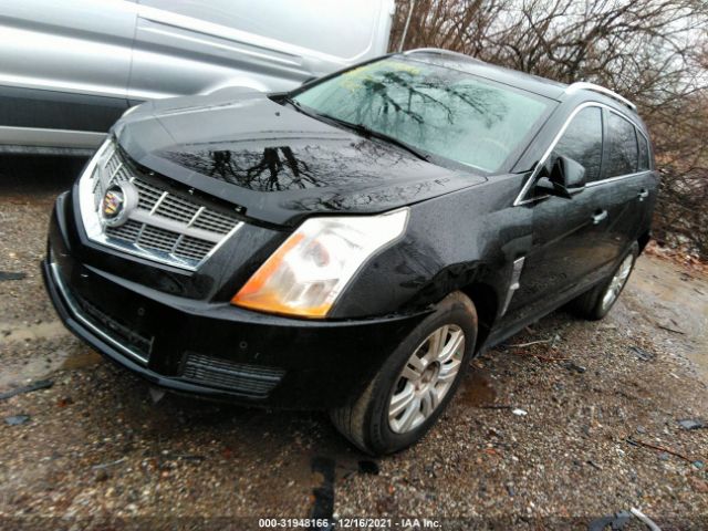 Photo 1 VIN: 3GYFNAEY5AS657185 - CADILLAC SRX 