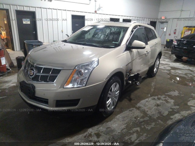 Photo 1 VIN: 3GYFNAEY5BS599466 - CADILLAC SRX 