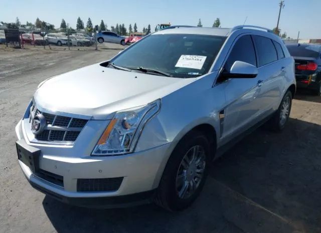 Photo 1 VIN: 3GYFNAEY5BS625337 - CADILLAC SRX 