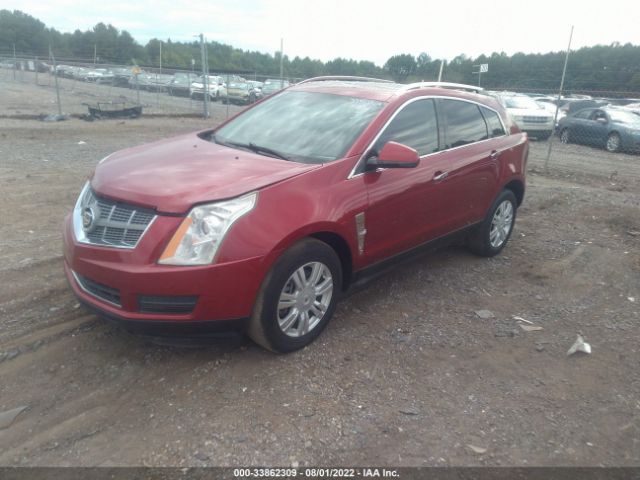 Photo 1 VIN: 3GYFNAEY6AS516710 - CADILLAC SRX 