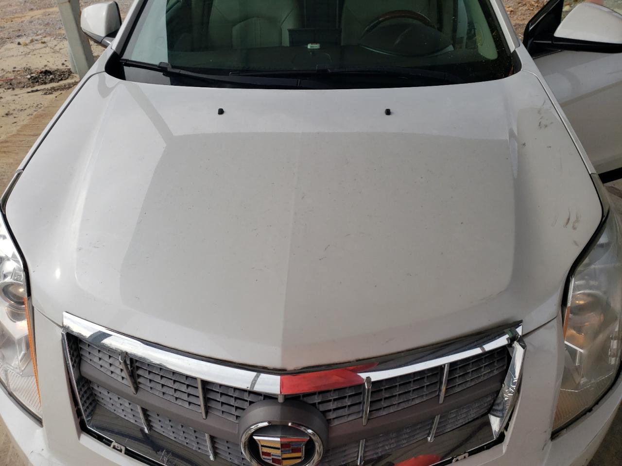 Photo 10 VIN: 3GYFNAEY6AS565213 - CADILLAC SRX 