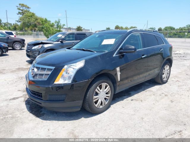 Photo 1 VIN: 3GYFNAEY6BS516062 - CADILLAC SRX 