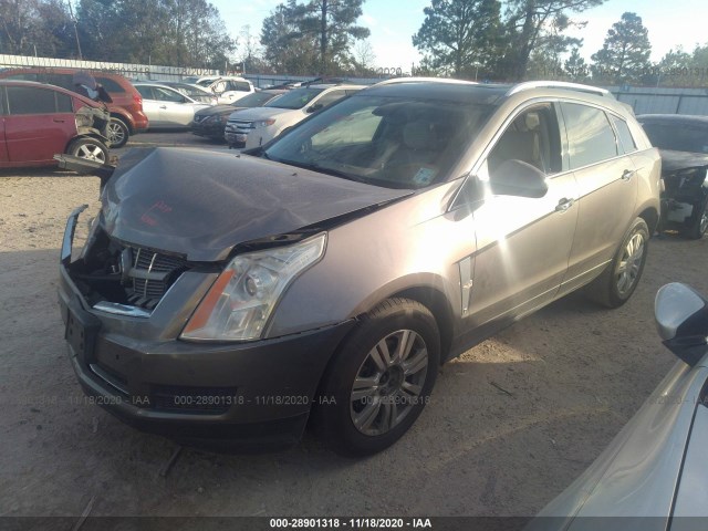 Photo 1 VIN: 3GYFNAEY6BS516868 - CADILLAC SRX 